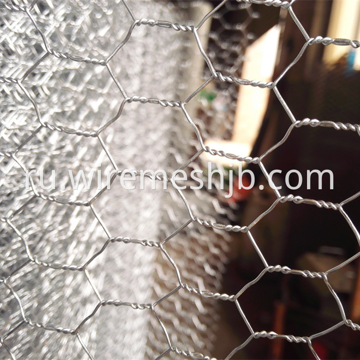 Galvanized Chicken Wire Mesh